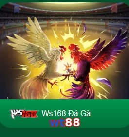 wt88